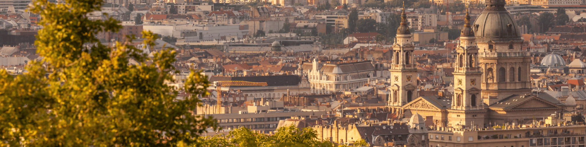 déménagement entreprise à saint-étienne